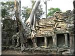 Cambodia Angkor Preah Khan-27.JPG