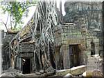 Cambodia Angkor Ta Prom-iC-17.jpg